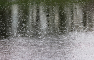 a strong summer downpour on the lake. drops of rain fall into the water