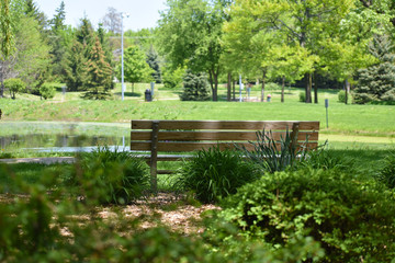 Fototapeta na wymiar Park Bench by Pond