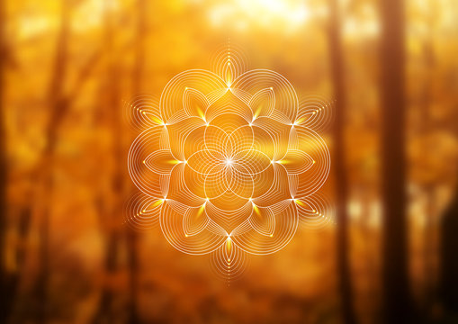 Vector template of banner, horizontal format; Spiritual sacred geometry; "Flower of life" and lotus on psychedelic natural forest photographic background; Yoga, meditation and relax.