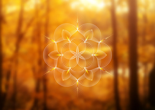 Vector template of banner, horizontal format; Spiritual sacred geometry; "Flower of life" and lotus on psychedelic natural forest photographic background; Yoga, meditation and relax.