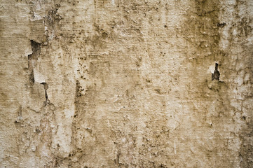 Wall