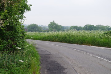田舎道