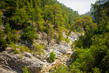Fototapeta na wymiar Amazingly beautiful gully of rocks with trees