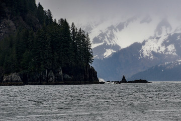 Kenai Fjords