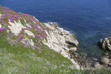 ISOLA D'ELBA