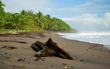 Tortuguero beach
