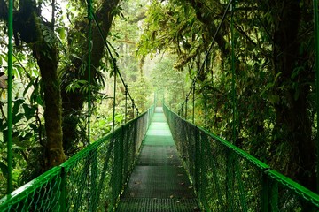 Hanging bridge