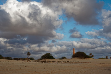 Island Boa Vista in Cape Verde, landscape - seaside