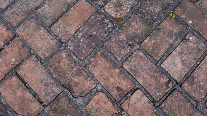 Victorian brick work path 