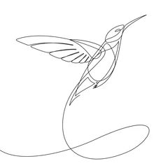  Kolibrie doorlopende lijn Vector © thirteenfifty