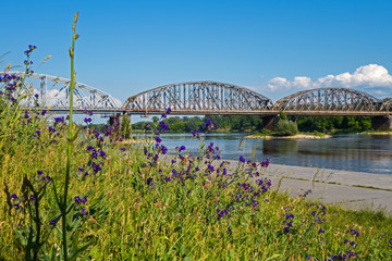 Thorn, Alte Eisenbahnbrücke über die Weichsel