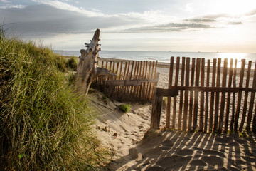 Obraz premium Sunrise over wild sandy beach 