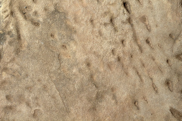 Smooth yellow stone texture photo. Ancient stone background. Weathered rock relief. Weathered sandstone