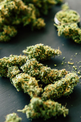 cannabis buds marijuana with trichomes and crushed weed on a black table insta close up Macro of