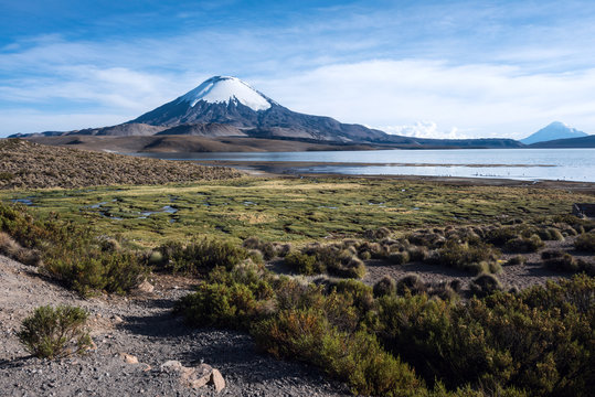 Snow capped Parinacota Volcano reflected in Lake Chungara, Chile