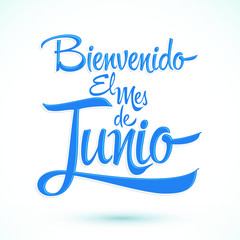 Bienvenido el mes de Junio, Welcome June spanish text, vector lettering message.