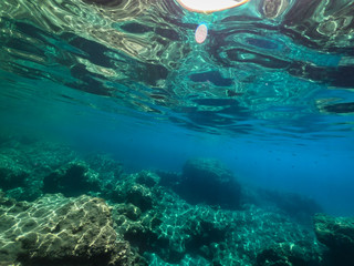 My Under Water World