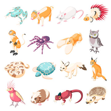 Exotic Pets Isometric Icons