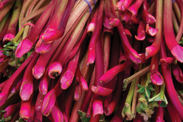 Fresh Rhubarb