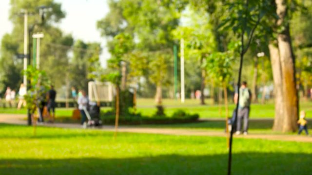 Park with people walking in park in blur. Park with people walking and enjoying spring sunny day.