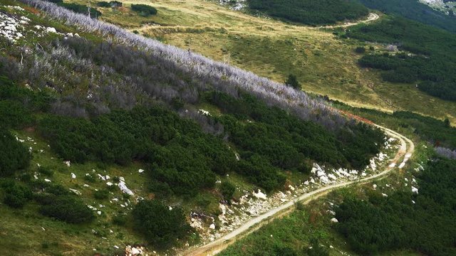 Large area of destroyed forest - (4K)