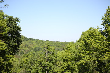 Countryside Afternoon Walk