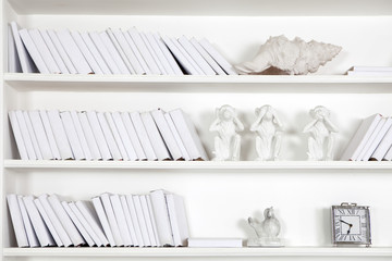 Fototapeta na wymiar the White wooden bookcase with books, seashells and statuettes of monkeys. All white