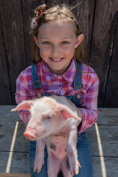  Portrait of charming farmer's daughter holding white pig