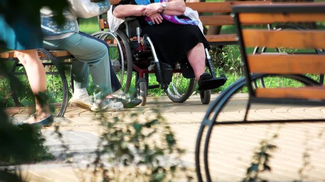 Old people talking sitting on bench. Disabled grandma having coversation with her friends outdoors in the park.