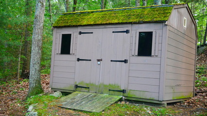 Shed in the Woods