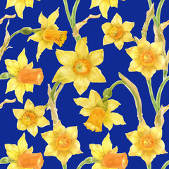 Obraz premium Watercolor botanical realistic floral pattern with narcissus