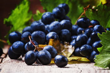 Blue wine grapes with vine and green leaves, rustic still life, vintage wooden background, selective focus