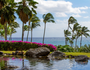 Overlooking the Pacific Ocean