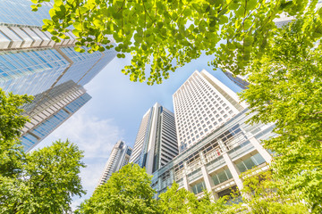 新緑と高層ビル群 © taka