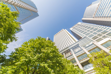 Obraz premium 新緑と高層ビル群