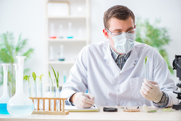 Male biochemist working in the lab on plants