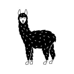 Vector illustration of cute llama