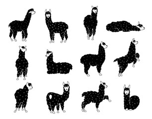 Vector set of llama, plant, flower © pikovit