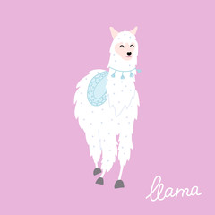 Vector illustration of  llama