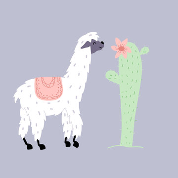 Vector illustration of  llama