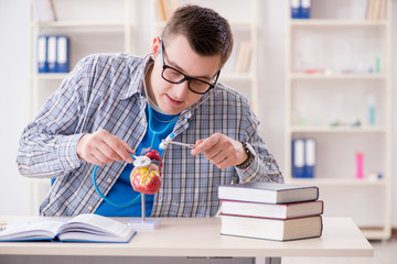 Medical student studying heart in classroom during lecture