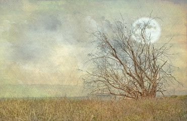 Textured photograph of a lone withered tree in front of the moon in shades of tan