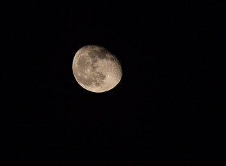 luna