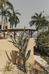 Luxurious beach house