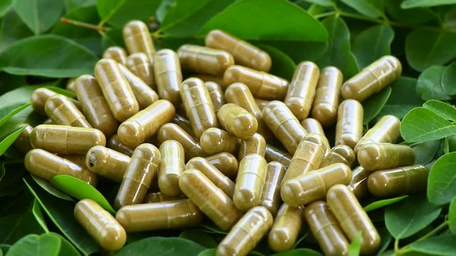 Moringa capsules rotation