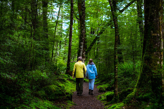 Dad and daughter walking together in the green nature that all covered with moss in the rainforest.