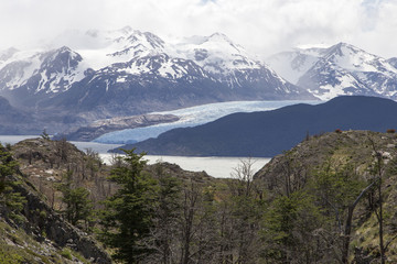 Fototapeta na wymiar paisagem da patagônia com vista para o glaciar Grey em torres del apine