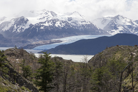 paisagem da patag&ocirc;nia com vista para o glaciar Grey em torres del apine