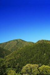 新緑の山と青空