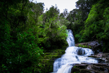 Long Exposure photography. Beautiful waterfall in the rainforest with green nature. Purakaunui Falls, The Catlins, New Zealand.